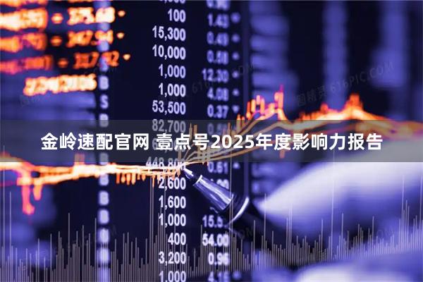 金岭速配官网 壹点号2025年度影响力报告