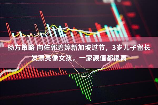 杨方策略 向佐郭碧婷新加坡过节，3岁儿子留长发漂亮像女孩，一家颜值都很高